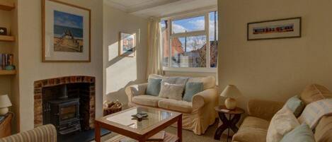 Télévision, cheminée, lecteur de DVD, livres