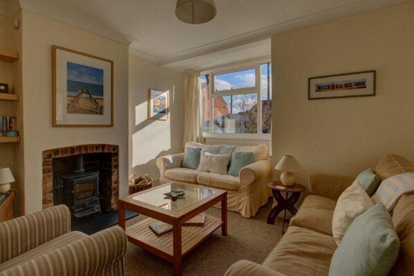 TV, fireplace, DVD player, books