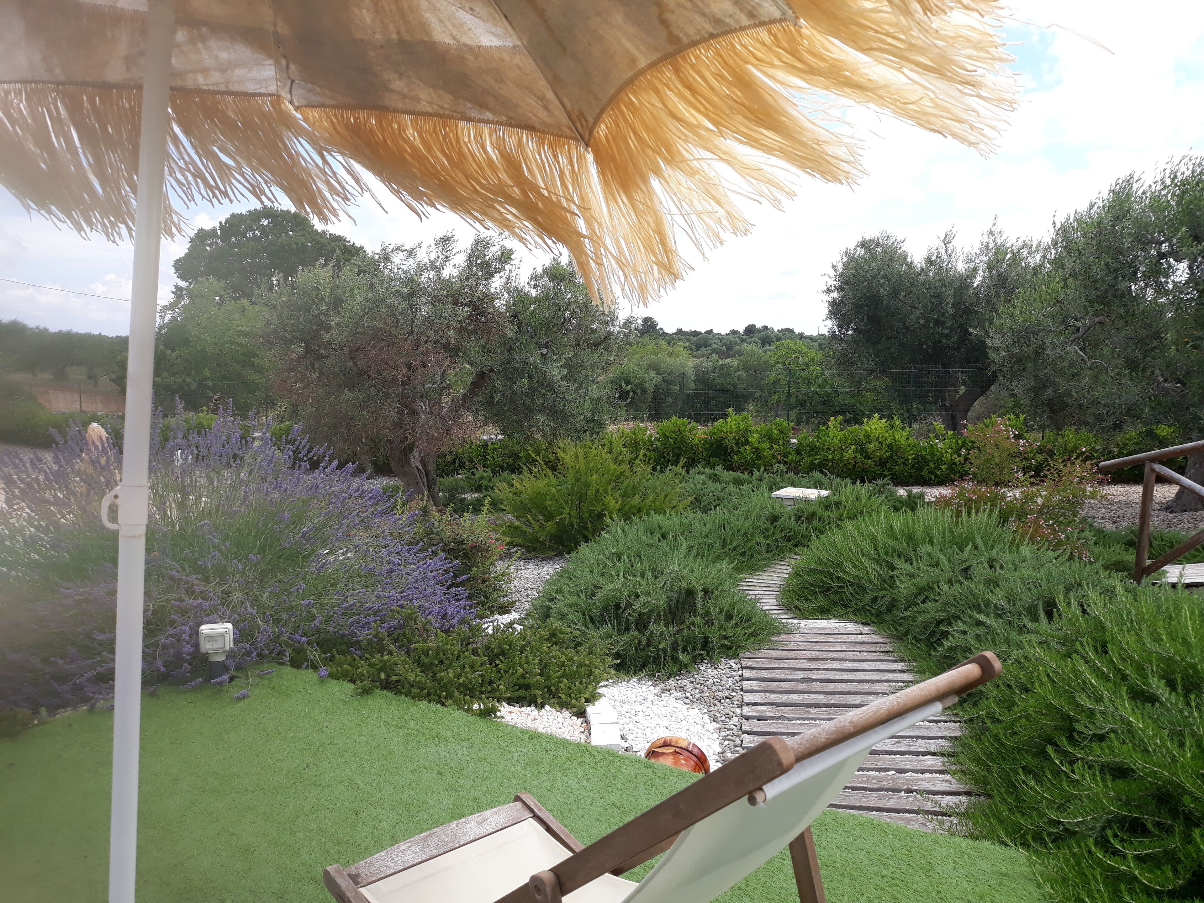 Parco della struttura