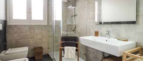 Shower, hair dryer, bidet, towels