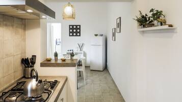 Fridge, oven, stovetop, cookware/dishes/utensils