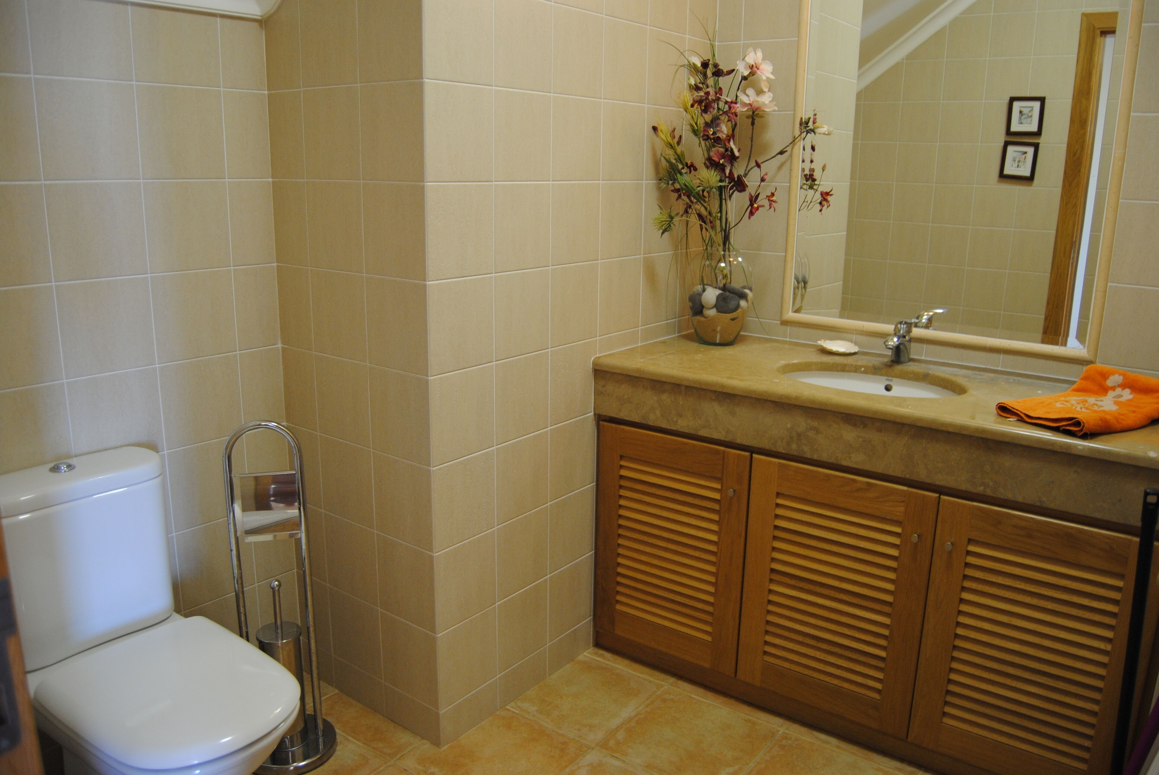 Guest bathroom