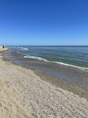 Plage à proximité, chaises longues, serviettes de plage