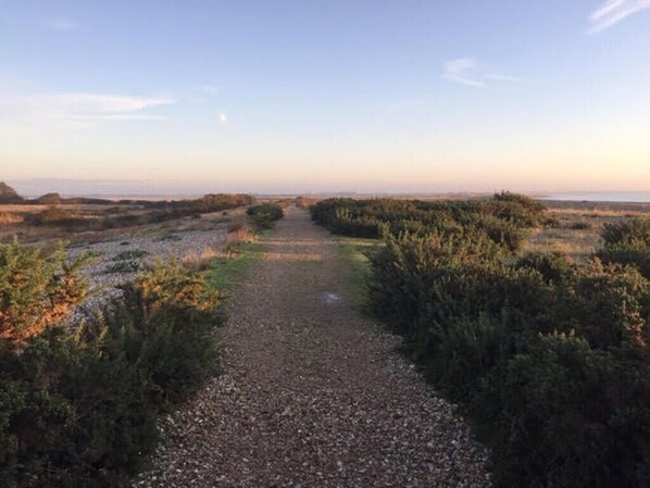 منوع