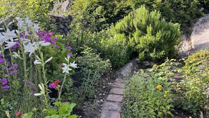 Ein gepflasterter Weg schlängelt sich durch einen üppigen Garten voller Pflanzen und Blumen.