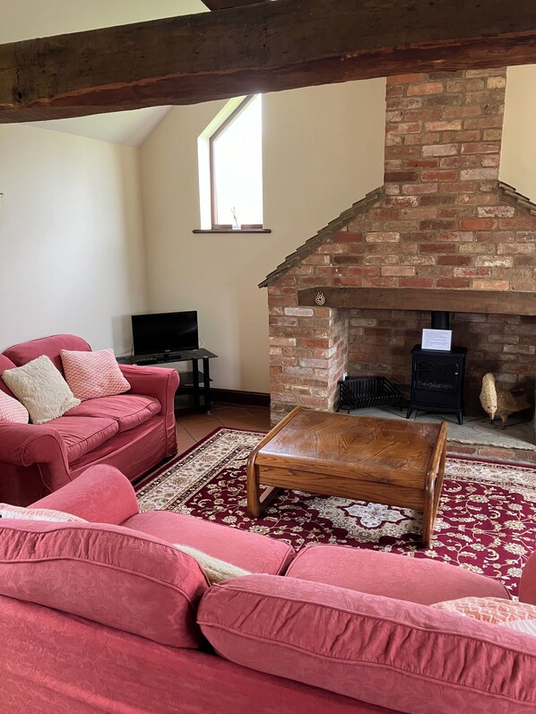 Smart TV, fireplace, DVD player, books