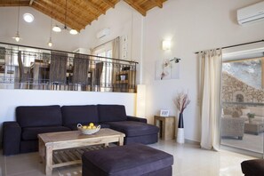 Smart TV, fireplace, DVD player, books