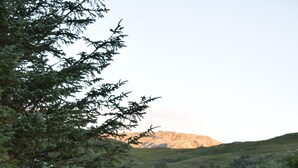 Une maison avec un toit en pente, entourée d’arbres denses et avec une montagne en arrière-plan.