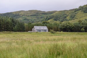 A rural house with a sloped roof, surrounded by a grassy field and dense forest.