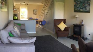 TV connectée, cheminée, jeux vidéo, lecteur de DVD