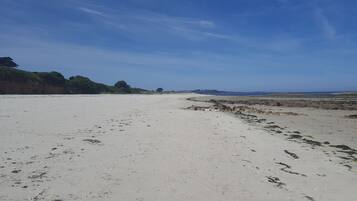 Une vaste plage de sable, avec une végétation clairsemée et un ciel dégagé.