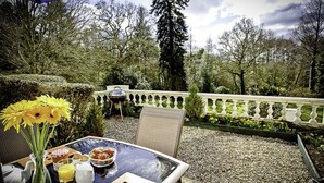 An outdoor dining area with a table, chairs, and a grill.