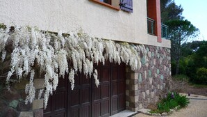 Ein Haus mit Steinverkleidung, einer dunkelbraunen Garagen tür und weißen blühenden Weinreben.