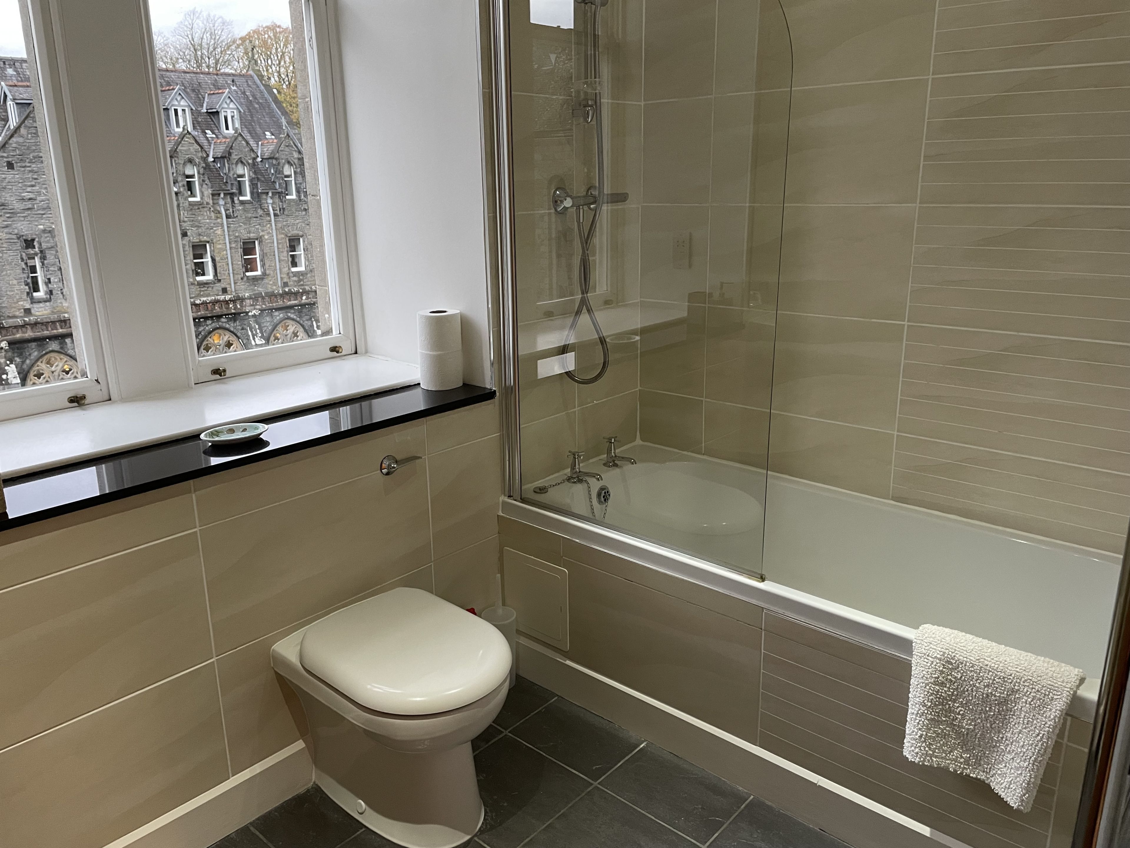 A bathroom with a toilet, a bathtub, and a shower.