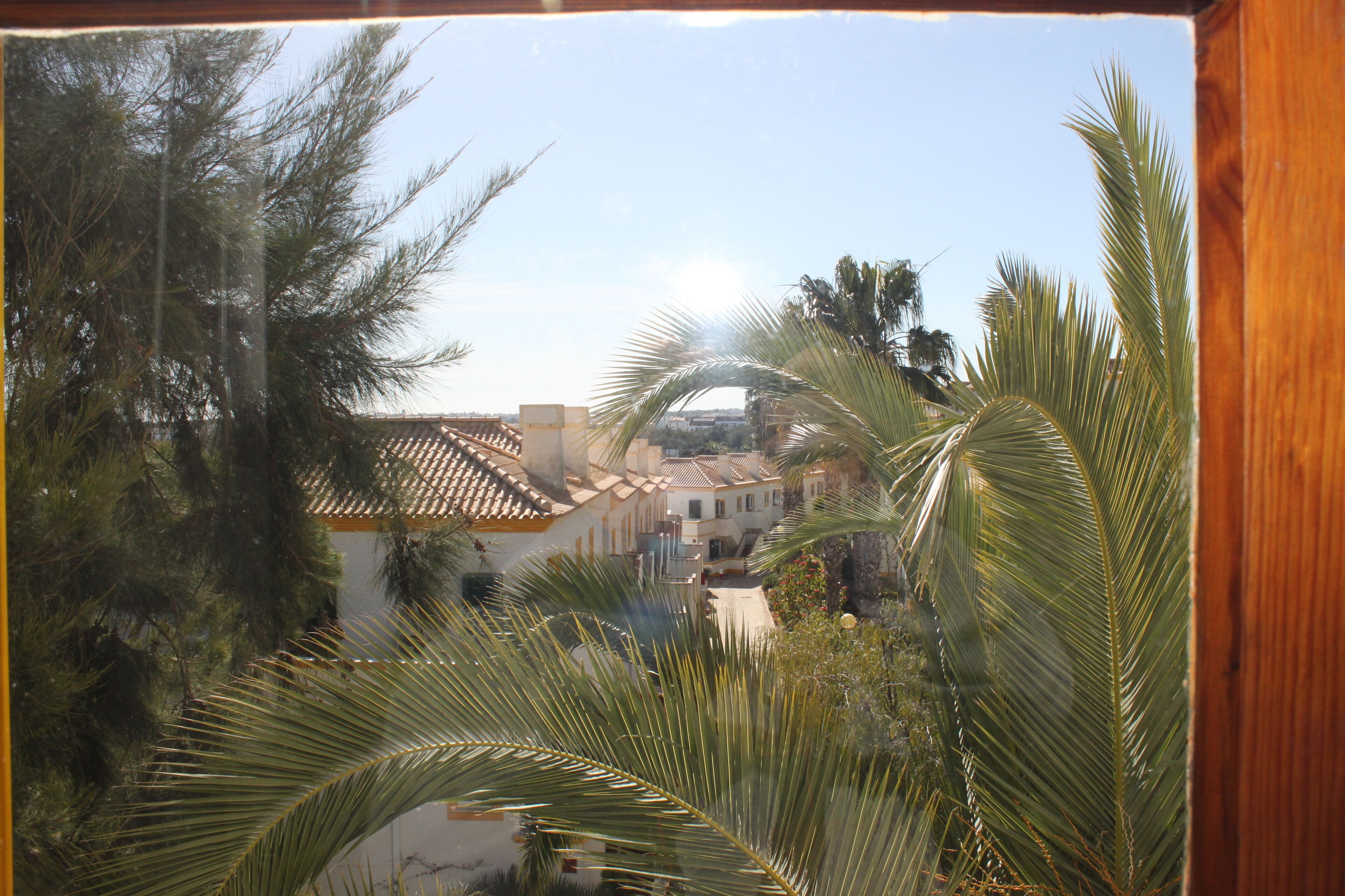 A view of a town with traditional architecture and palm trees.