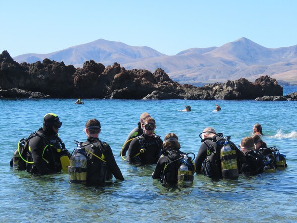 Un groupe de personnes, vêtues de combinaisons de plongée et équipées de matériel de plongée sous-marine, se tient dans une eau peu profonde, près de formations rocheuses.