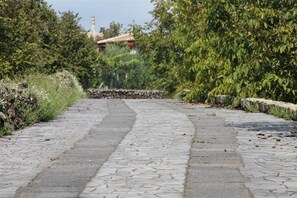 Property grounds - Typical charming villa surrounded by nature and old trees (Milo)