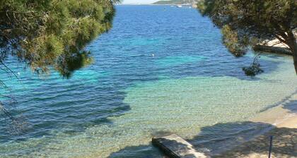 AT THE PALAU CENTER AND 300 METERS FROM THE SEA