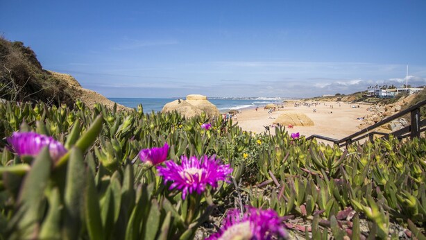 A beach with a rocky outcrop, a sandy beach, and a staircase leading down to the beach.