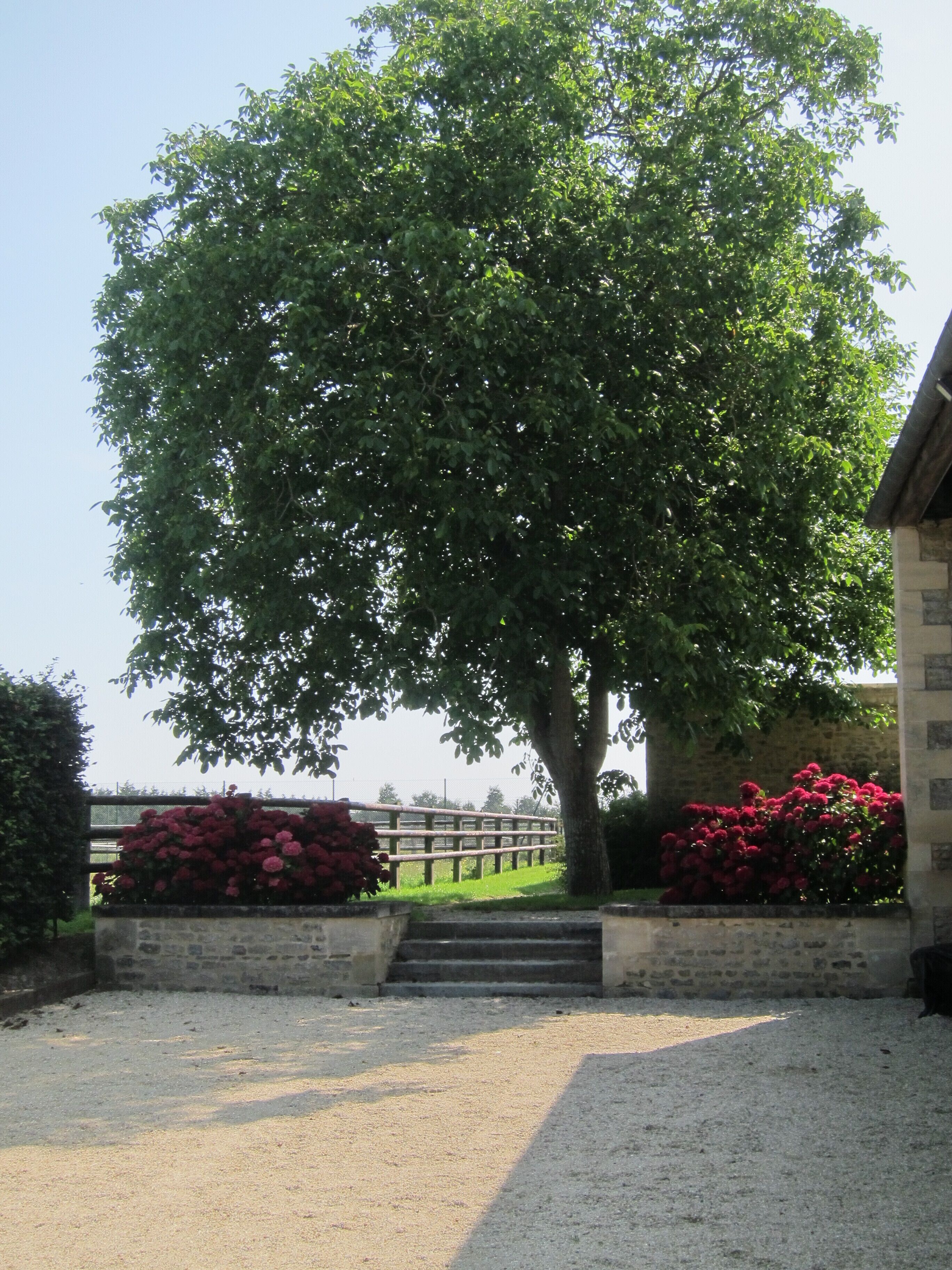 Àrea exterior de l'allotjament