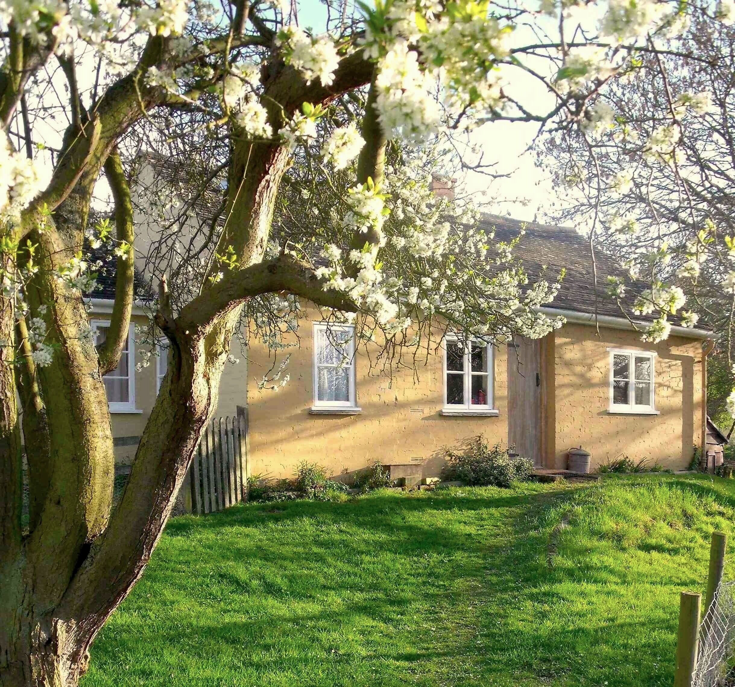Cosy Cotswold Cottage Hidden Away in an Orchard. 