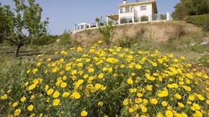 Una casa moderna en una ladera, con un campo de flores amarillas al frente.