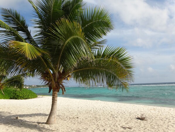 Beach nearby, sun-loungers, beach towels
