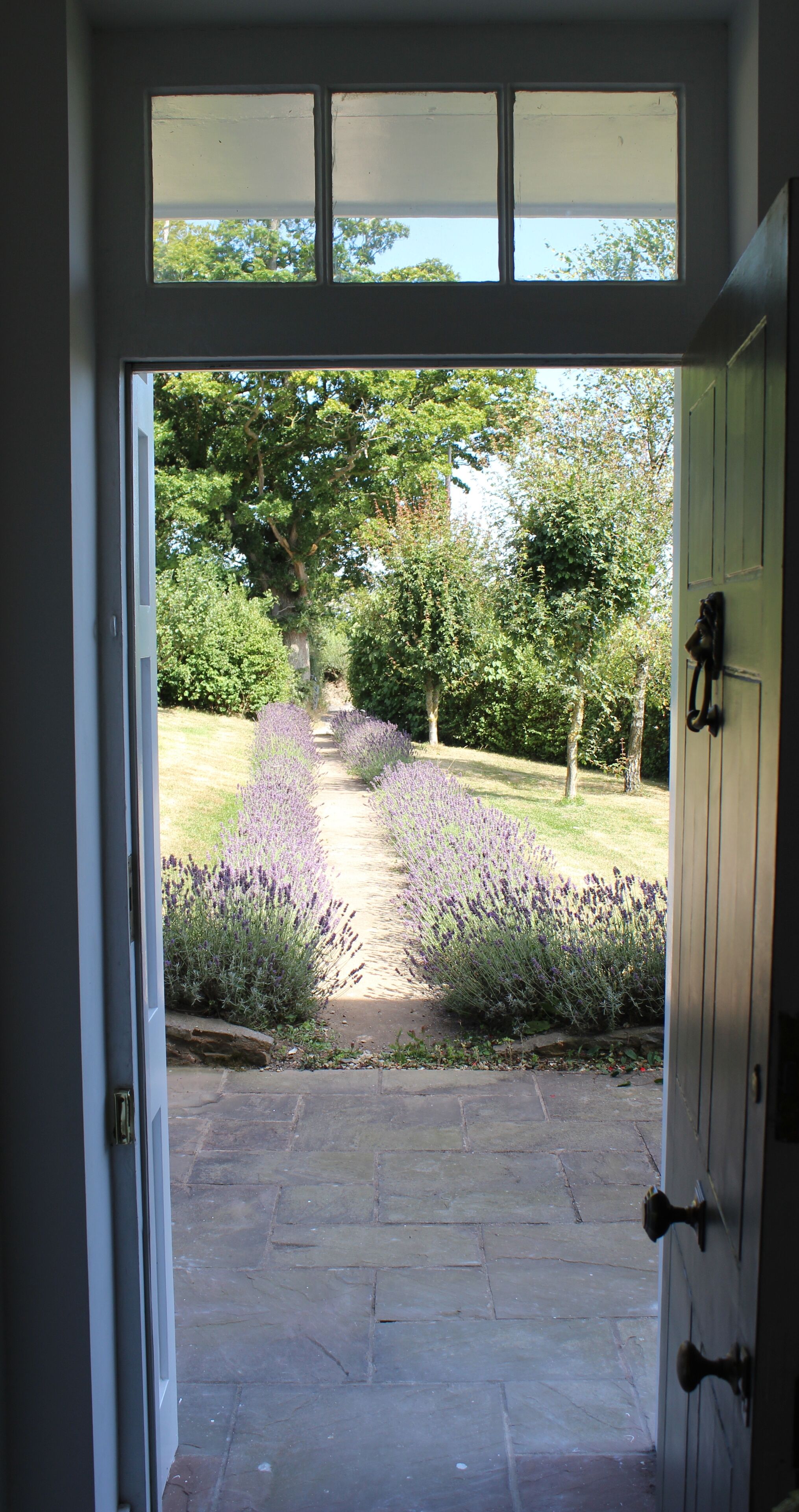 Front walkway in bloom