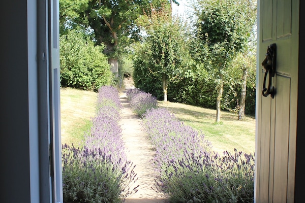 Front walkway in bloom