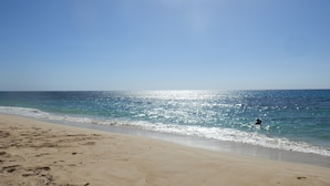 En strand med klare himmel og rolige vand.