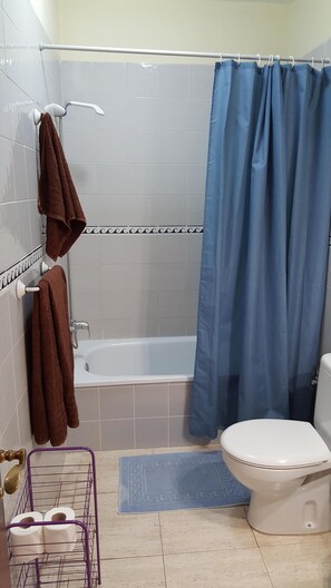 Combined shower/bathtub, hair dryer, towels, toilet paper