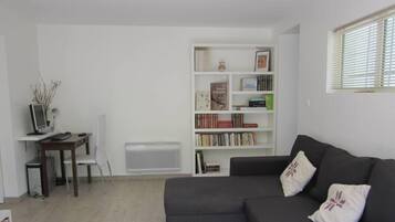 Televisie, een dvd-speler en boeken