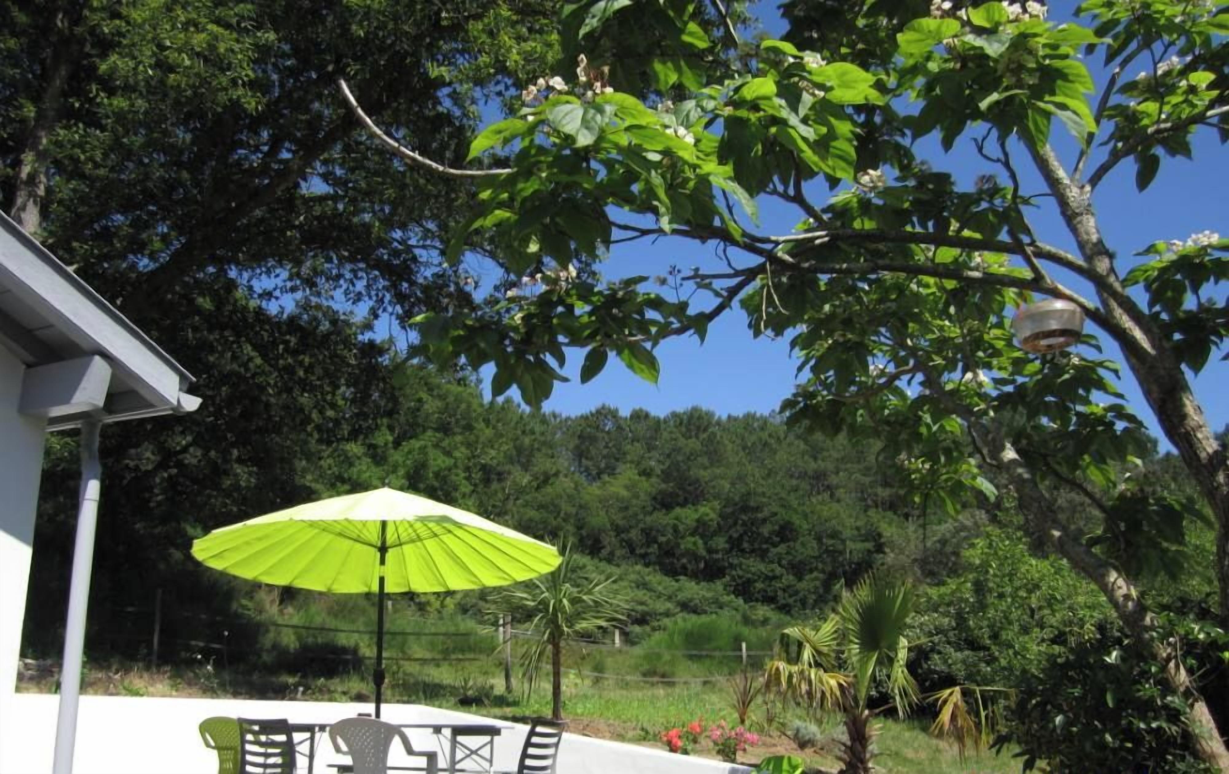 Un área de estar al aire libre con una mesa y sillas bajo un paraguas verde, rodeada de abundante vegetación y un edificio blanco.