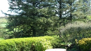 A picnic table in a garden with dense trees and well-maintained hedges. - Remote Peaceful Cottage. Great for families. Panoramic Views & Skies. Fresh Air. (St. Nicholas)