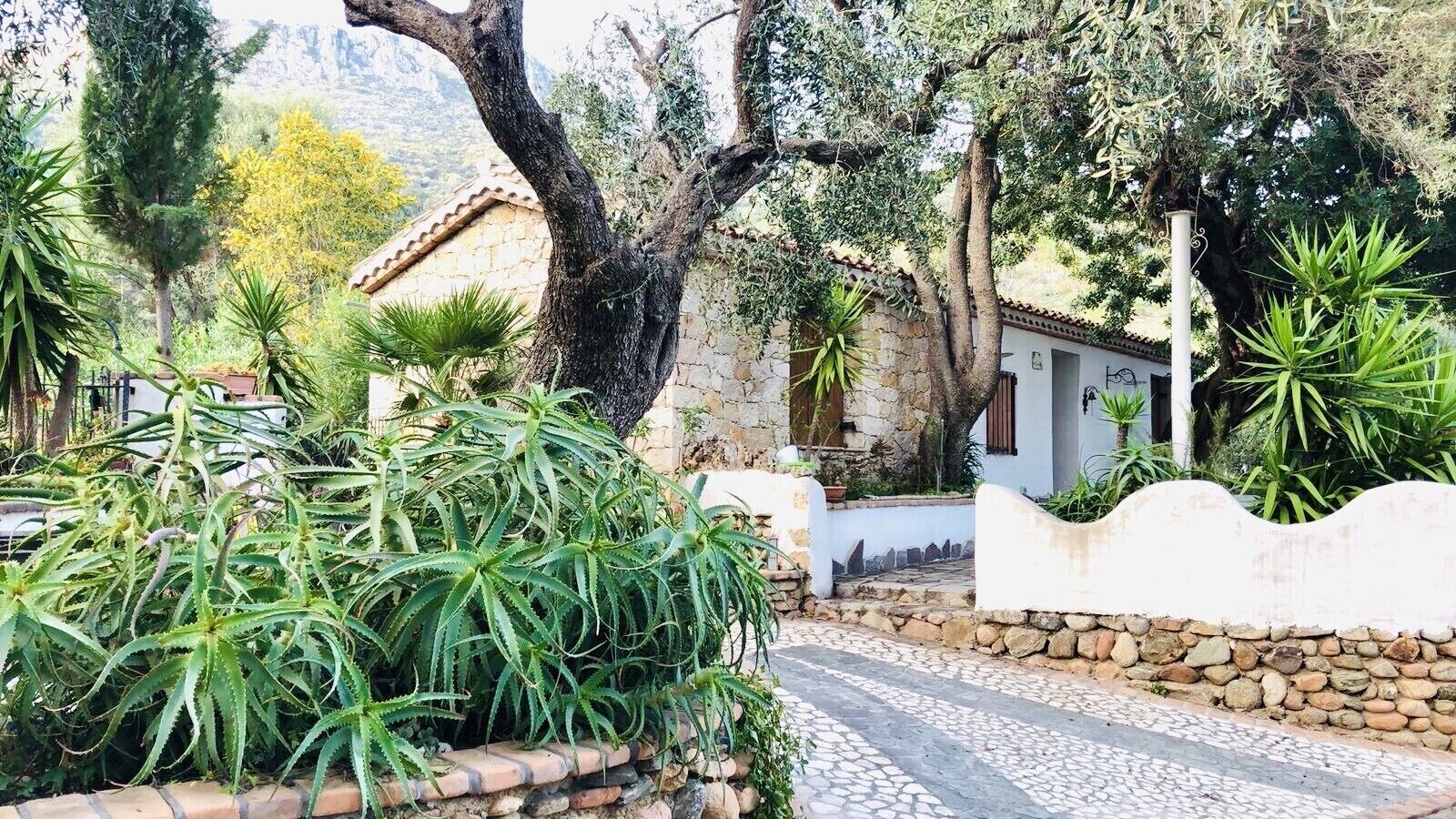 Independent villa rental surrounded by greenery