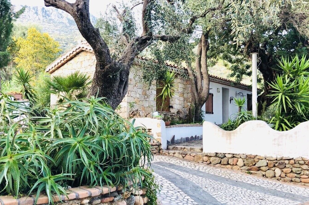 Independent villa rental surrounded by greenery