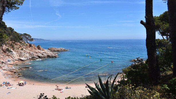 Ein Strand mit felsigem Gelände, klarem, blauem Wasser und sonnenbadenden Personen.