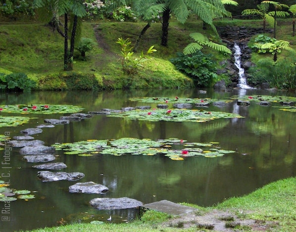 Property grounds - Casa da Beija - Ideal for a family holiday - RRAL 324 (Furnas)