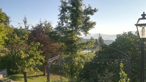Een tuin met een stenen muur, een metalen pergola en een lantaarn.