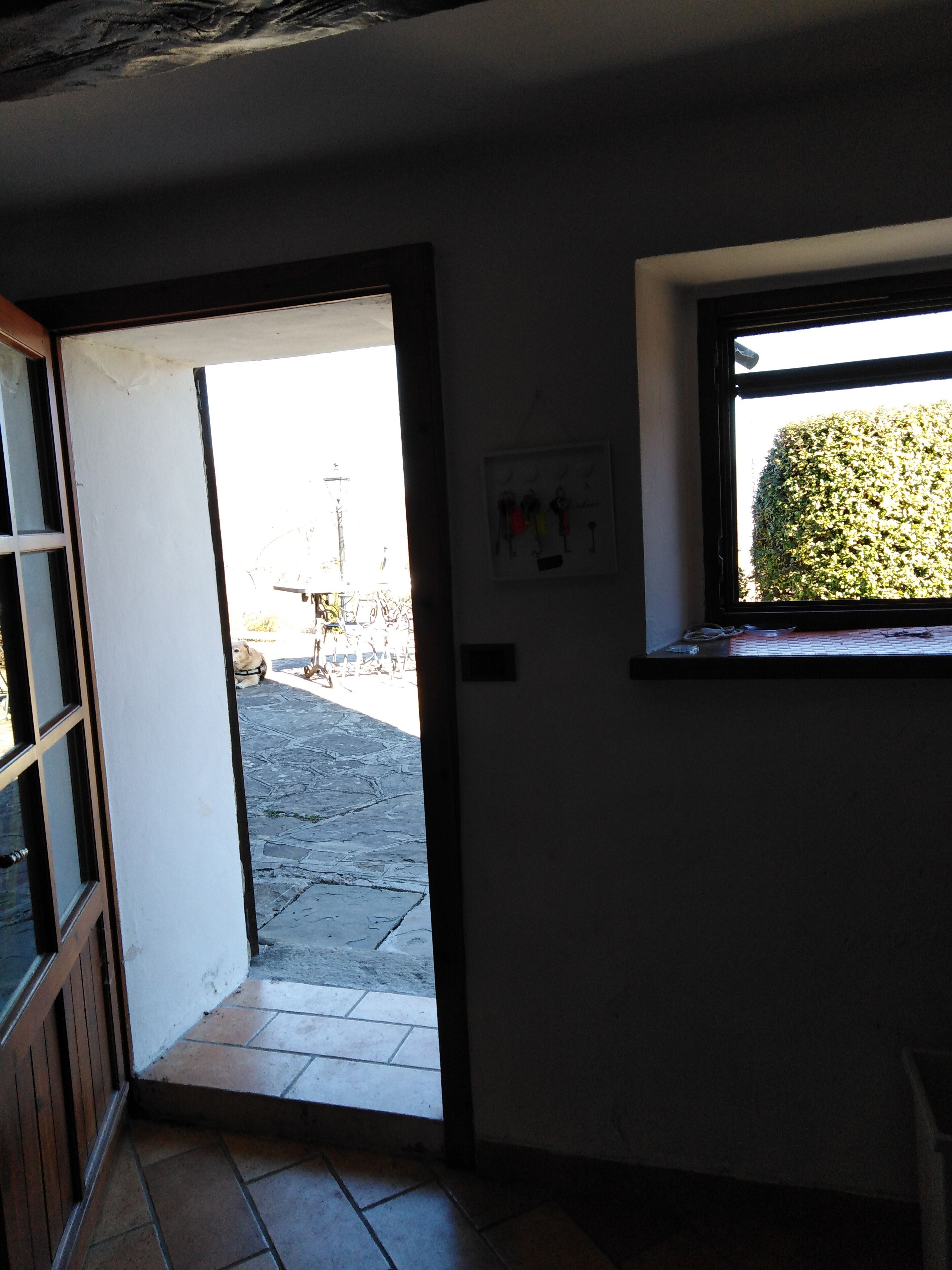 A room with a tiled floor, a door leading outside, a window with a view of a hedge, and a wall-mounted light switch.