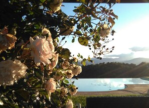 Een tuin met bloeiende rozen en uitzicht op een meer.
