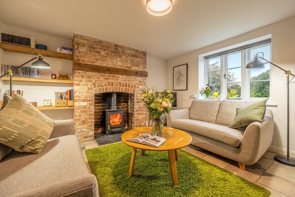 TV, fireplace