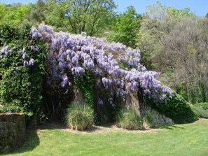 Terrein van de accommodatie