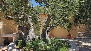 A stone planter with a tree, surrounded by a stone wall and potted plants.
