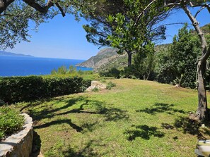 Terrain de l’hébergement 