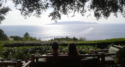 Villa with dream sea view, private land and pool, total quietness