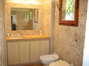 Combined shower/tub, hair dryer, bidet, towels