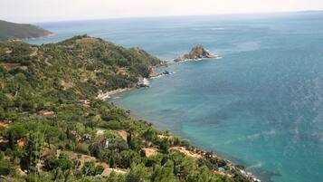Plage à proximité, chaises longues, serviettes de plage