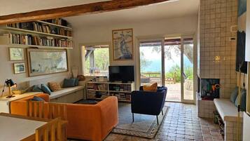 Fernseher, Kamin, DVD-Player, Bücher