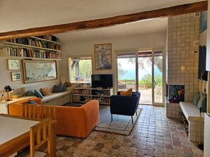 Televisión, chimenea, reproductor de DVD, libros